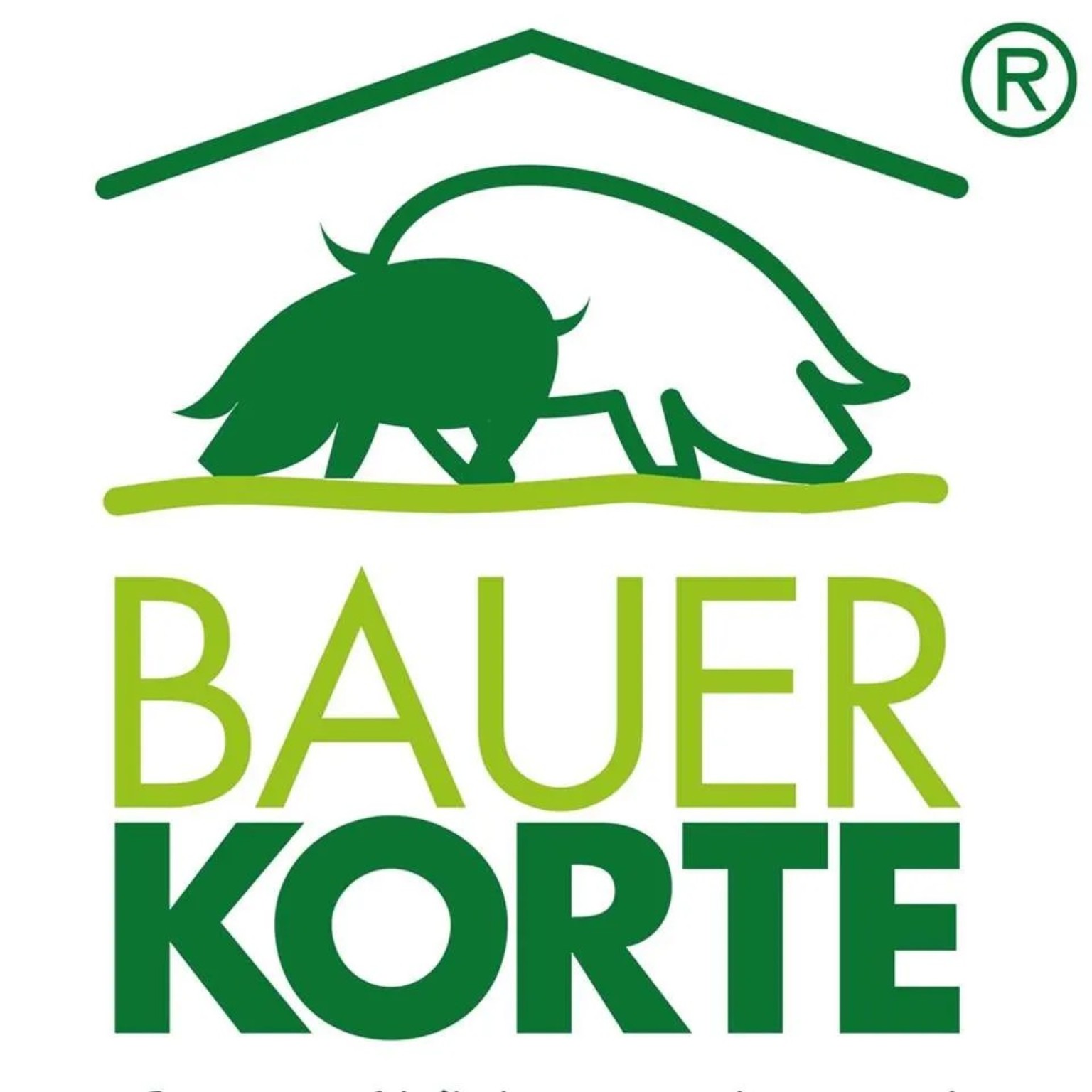 Bauer Korte – Original-Logo